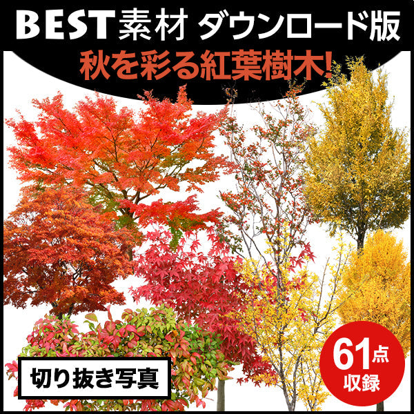 bestsozai0048