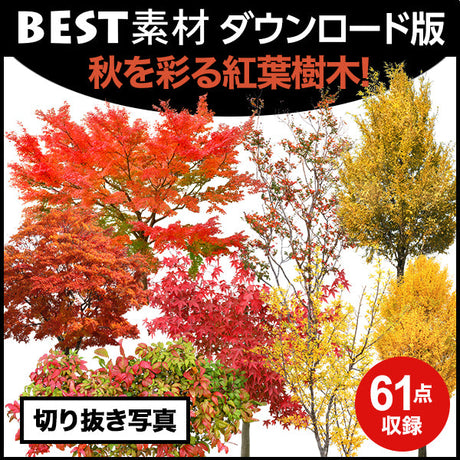 bestsozai0048