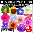 bestsozai0050