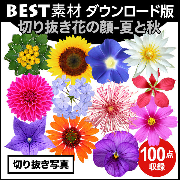 bestsozai0050