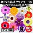 bestsozai0049