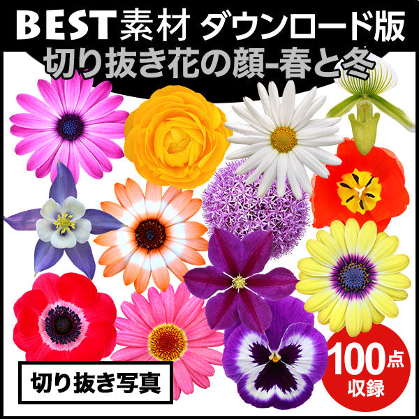 bestsozai0049