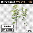 bestsozai0053