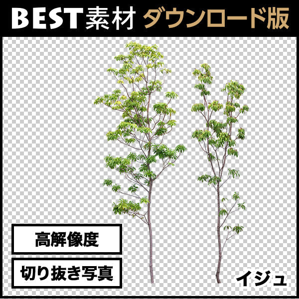 bestsozai0053