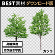 bestsozai0054