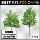 bestsozai0054