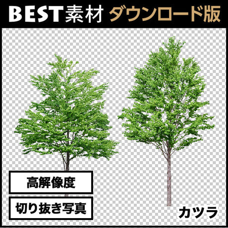 bestsozai0054
