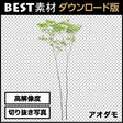 bestsozai0052