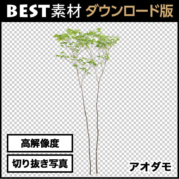 bestsozai0052