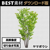 bestsozai0055