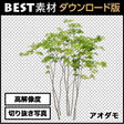 bestsozai0051