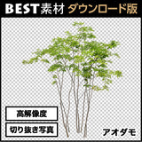 bestsozai0051