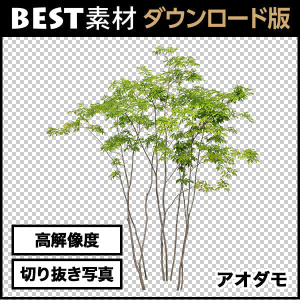 bestsozai0051