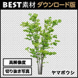 bestsozai0056