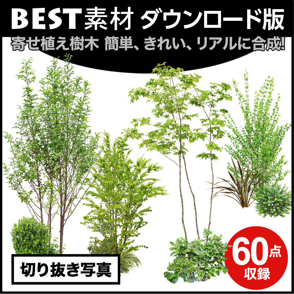 bestsozai0058