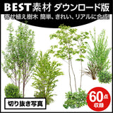 bestsozai0058