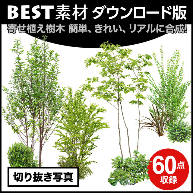 bestsozai0058