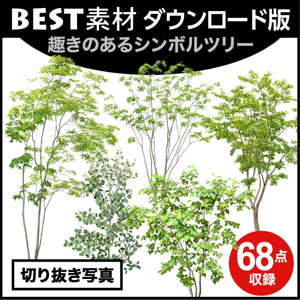 bestsozai0059