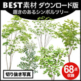 bestsozai0059