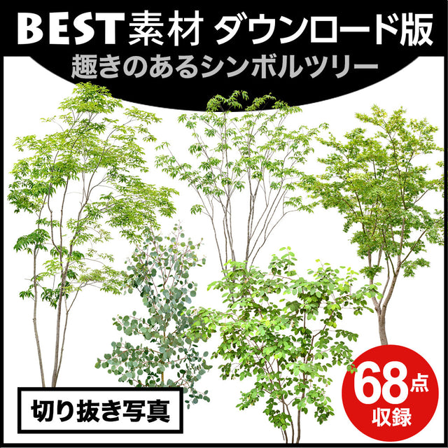 bestsozai0059