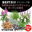 bestsozai0060