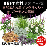 bestsozai0060