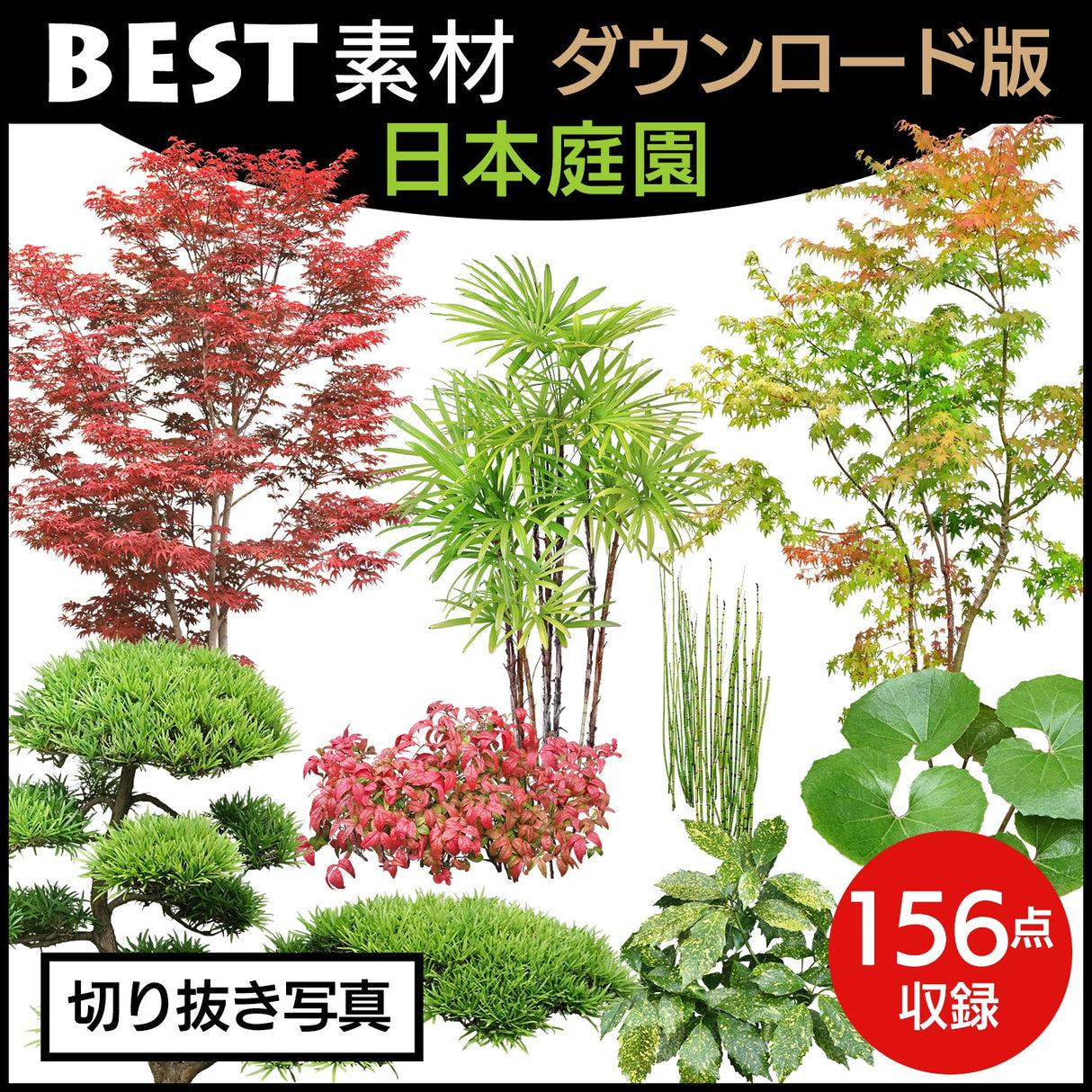 bestsozai0061