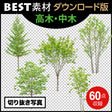 bestsozai0062