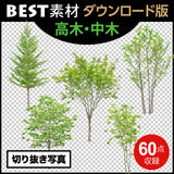 bestsozai0062