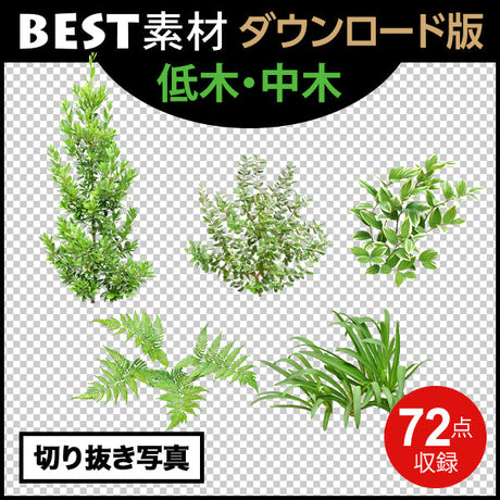 bestsozai0063