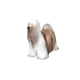 人・動物