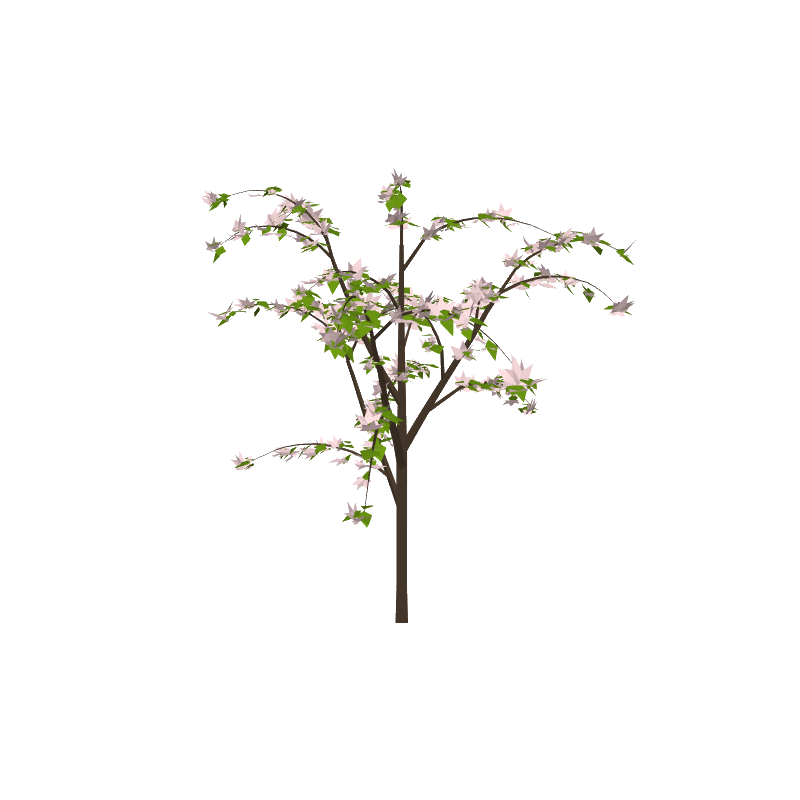 dogwoodh01