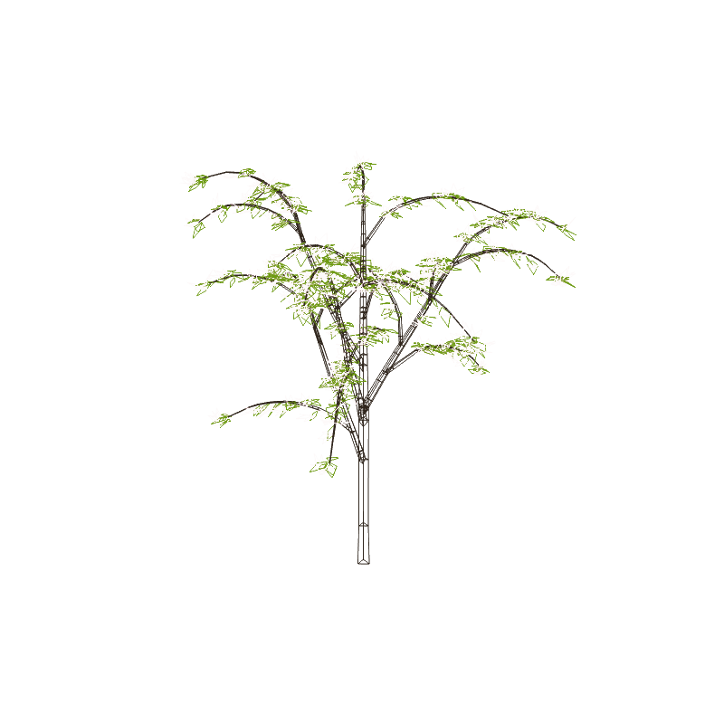 dogwoodh01