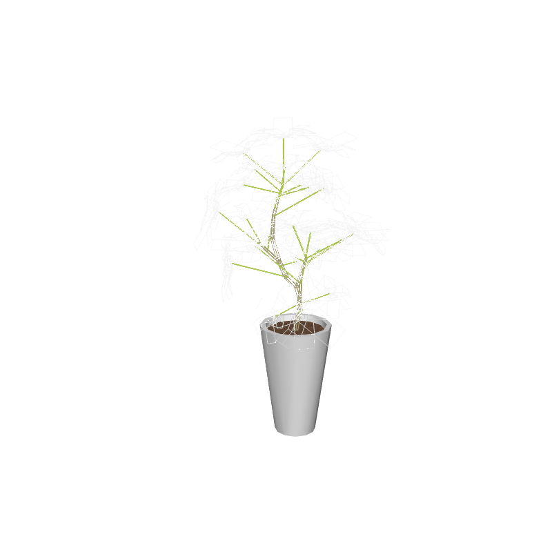 foliageplantq01