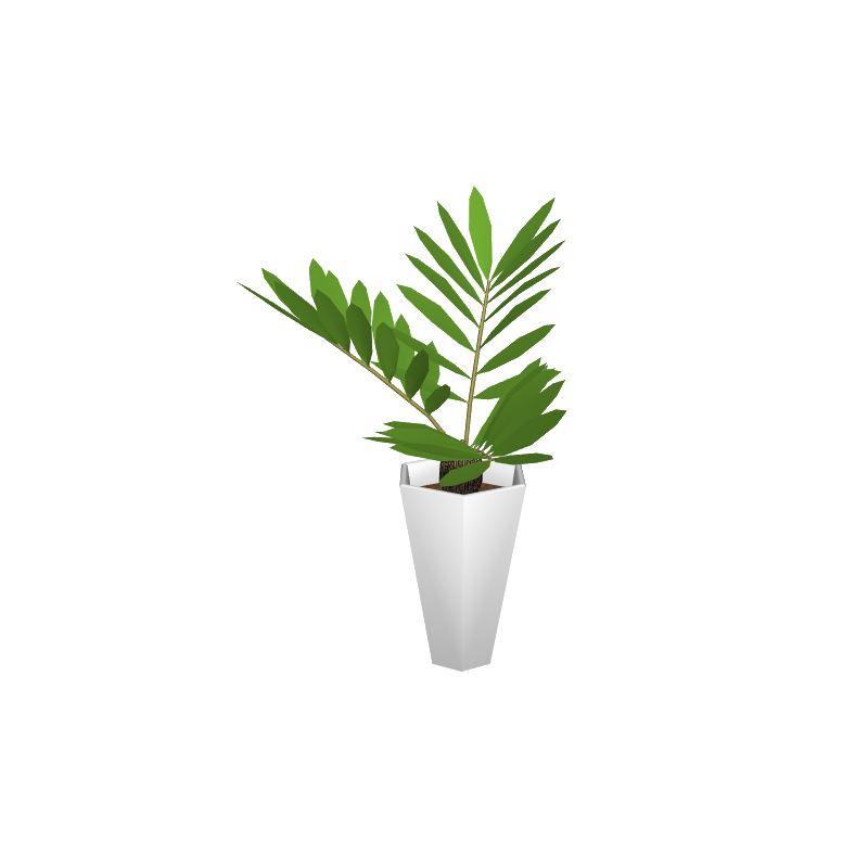 foliageplantq02