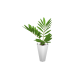 foliageplantq02