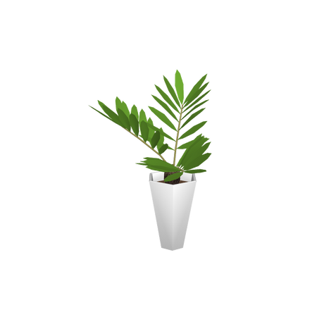 foliageplantq02