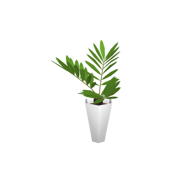 foliageplantq02