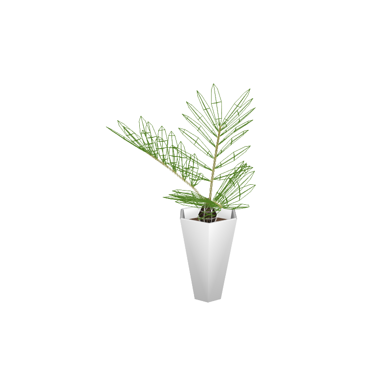 foliageplantq02