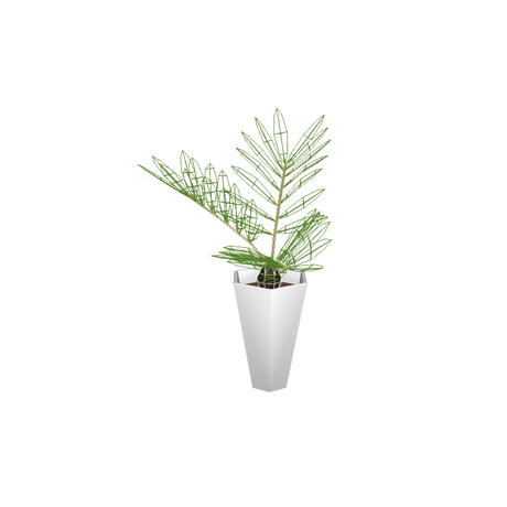 foliageplantq02