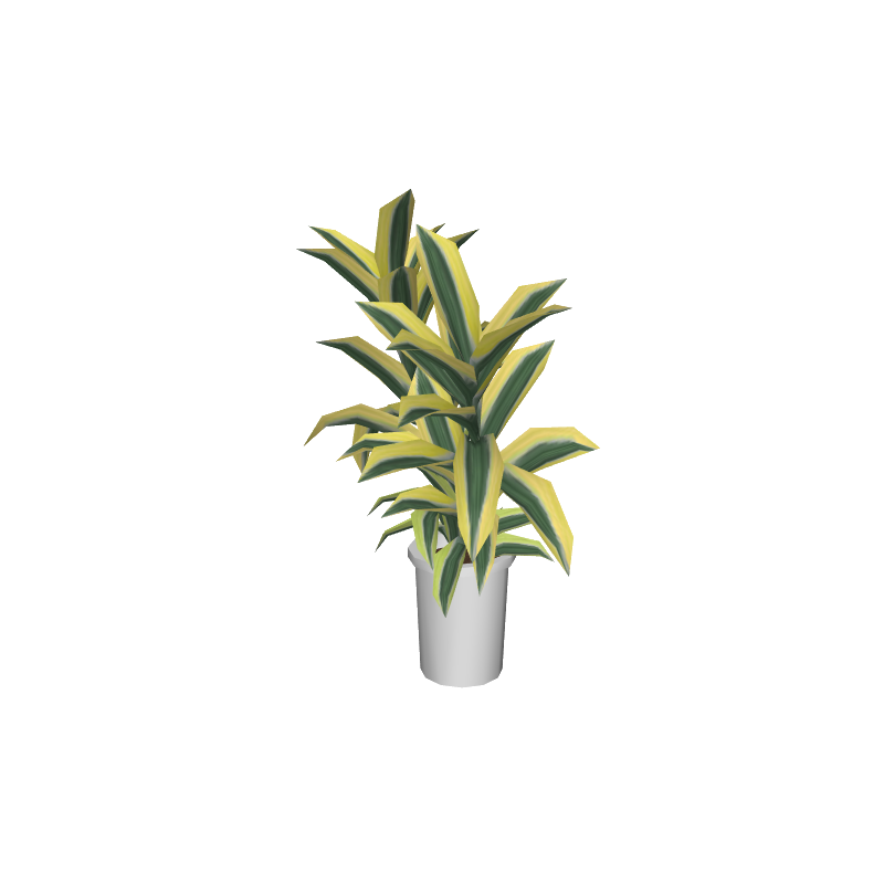 foliageplantq04