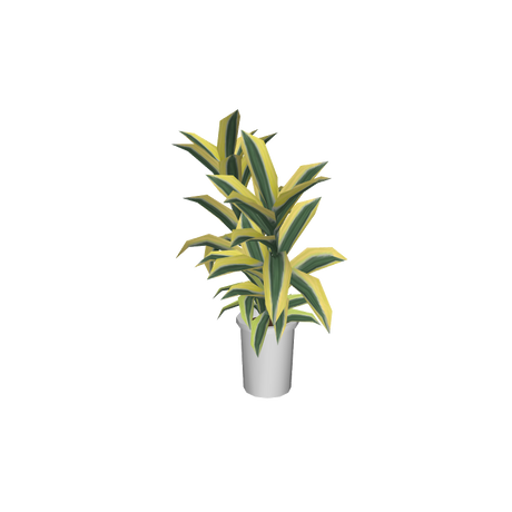 foliageplantq04