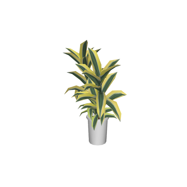 foliageplantq04
