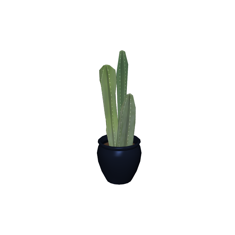 foliageplantq05