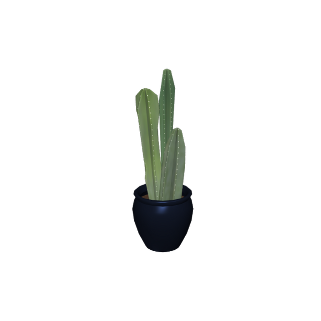 foliageplantq05