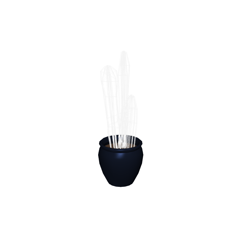 foliageplantq05