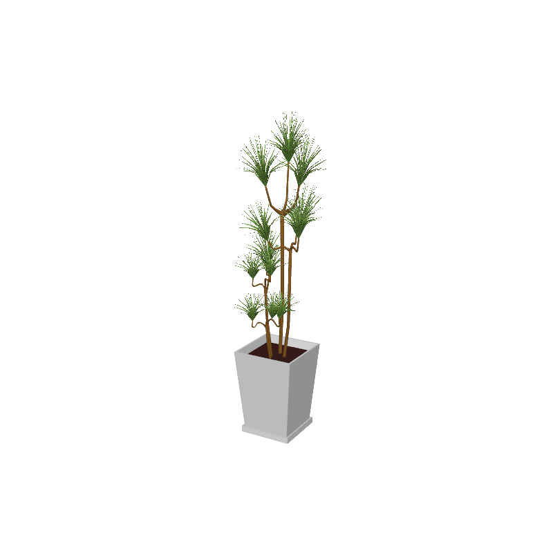 beauty_houseplants001