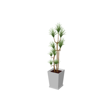 beauty_houseplants001