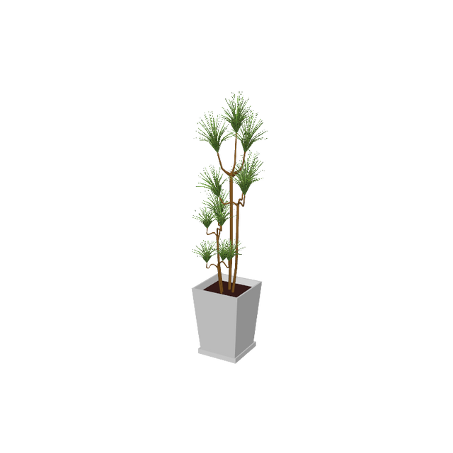 beauty_houseplants001