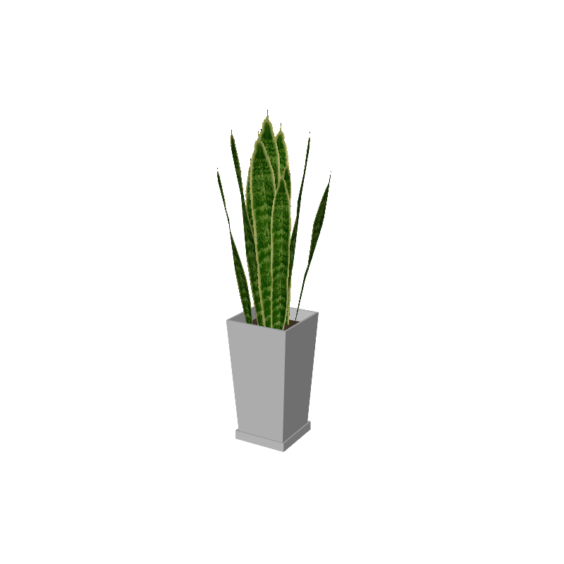 beauty_houseplants002